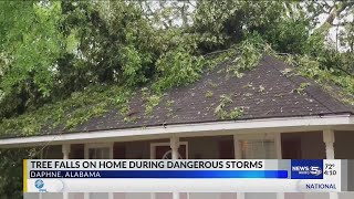 Tree falls on home during dangerous storms