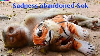 So Sadness Abandoned Sok Hug Fake Tiger Sleeping On The Ground Alone