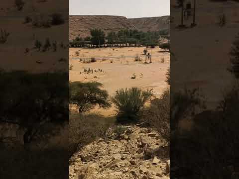 شعيب بعيجاء