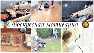 ВОСКРЕСНАЯ МОТИВАЦИЯ 🐝 ГОТОВИМ НА НЕСКОЛЬКО ДНЕЙ 🥘 УБИРАЕМ 🧼 С НОВЫМ ПАРООЧИСТИТЕЛЕМ Bort/ - 20 