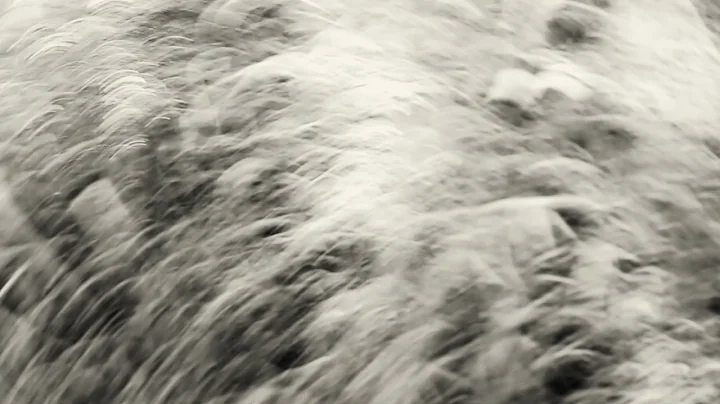 Figure 8  - Laura Scarborough