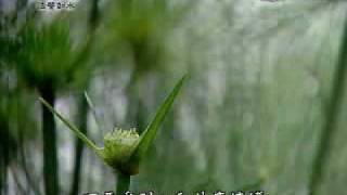 20090518-1《靜思晨語。法譬如水》三轉十二行法（一）
