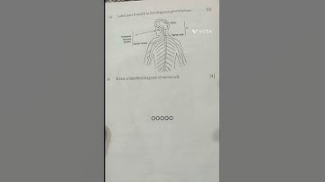 #icse/ class-8th/ biology/2nd term/previous year question paper///