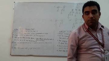 Fibonaacci Heap: Extract Min