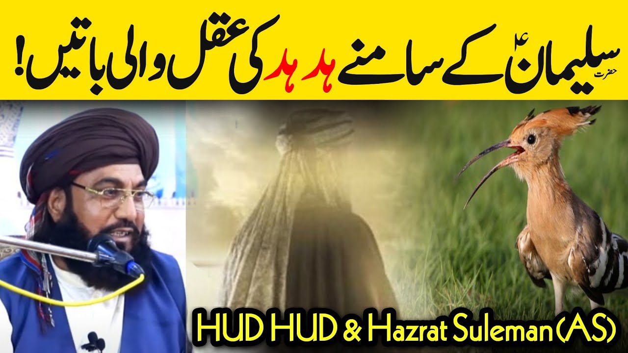 Hazrat Suleman(AS) Kay Samnay Hud Hud Ki Aqal Wali Batain - Allama Asmatullah Khan Multani
