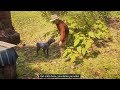 Micah Kicks the Dog, Cain / Hidden Dialogue / Red Dead Redemption 2