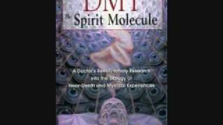 DMT interview part 11 of 12