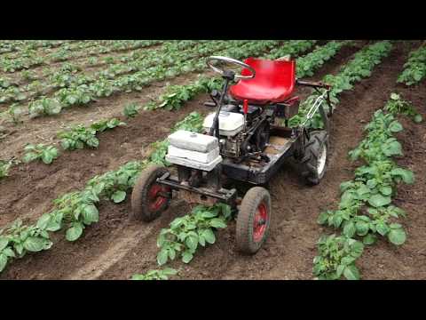 Βίντεο: Φύτευση νέων πατατών - Πώς να καλλιεργήσετε νέες πατάτες