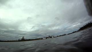 Friends of the Eagle River - Reid's Pond River -Southern Labrador - Eastern Brook Trout