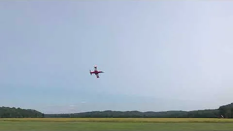 Freewing L39