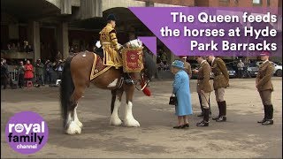 The Queen feeds the horses at Hyde Park Barracks