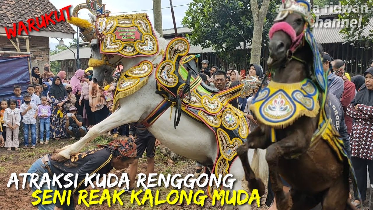 Atraksi kuda renggong seni reak kalong muda lokasi di warukut💥