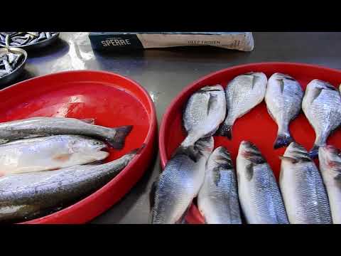Video: Elastik Bir Bantla Havuz Balığı Nasıl Yakalanır