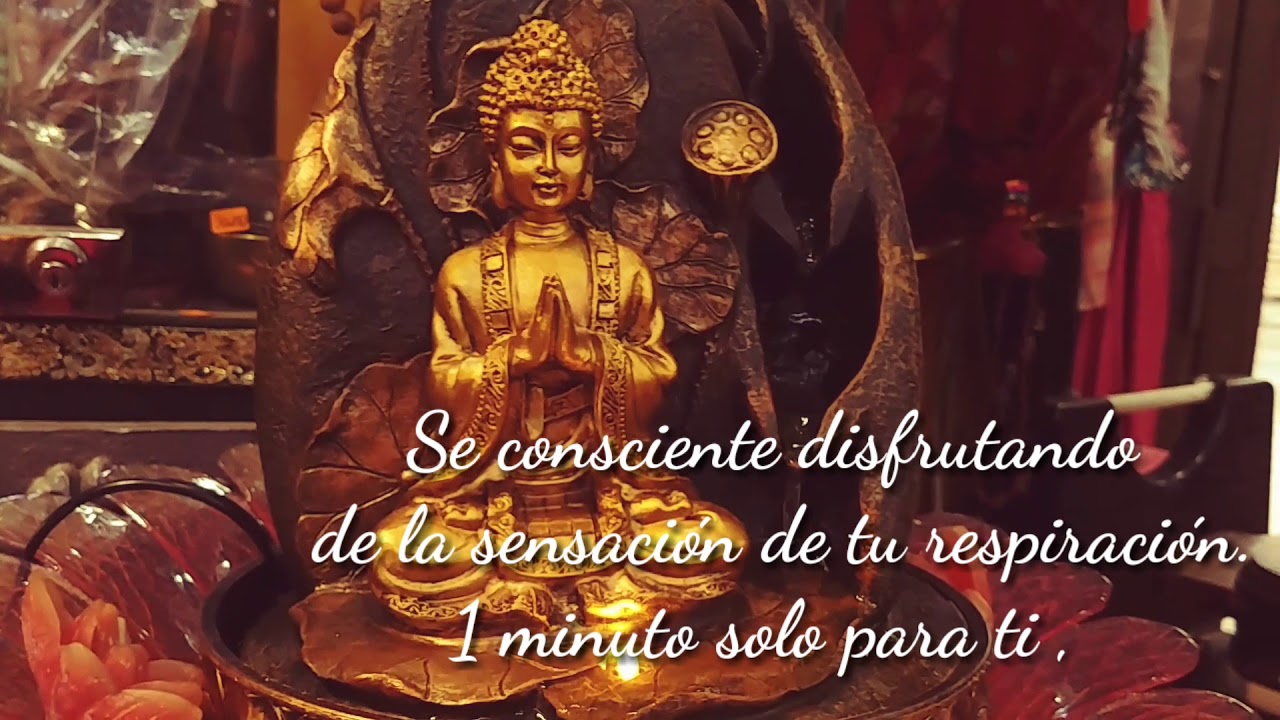 1 minuto para tí platanitos