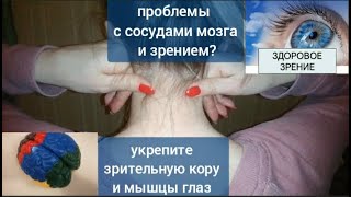 Деградирует Зрительная Кора Мозга, Ухудшается Зрение? Снимите Спазм Задней Мозговой Артерии