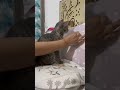 She Watched My Hand Like It Was Magic ✨🐱