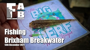LRF Fishing at Brixham - December 13th 2021