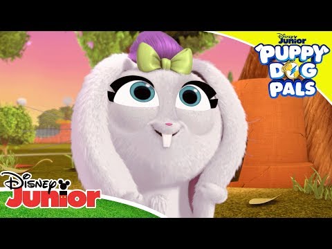 🥕-bingo-and-rolly-catch-the-veggie-taker!-|-puppy-dog-pals-|-disney-junior-uk