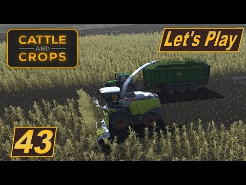 landwirtschafts simulator ps3 Cattle and Crops #43 Jetzt fahren wir den Häcksler selbst #Landwirtschaft Simulator #deutsch #Lets