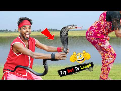 Exclusive Top Funny Video very special funny video 2026 try not to laugh 😂 Ep 710 By Bidik Fun Tv