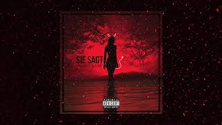 Jhony Kaze - Sie sagt (Beat by Mega Beats) Audio
