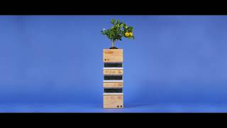 Plant Intelligence - interactive installation prototype to learn scientific topics in public spaces