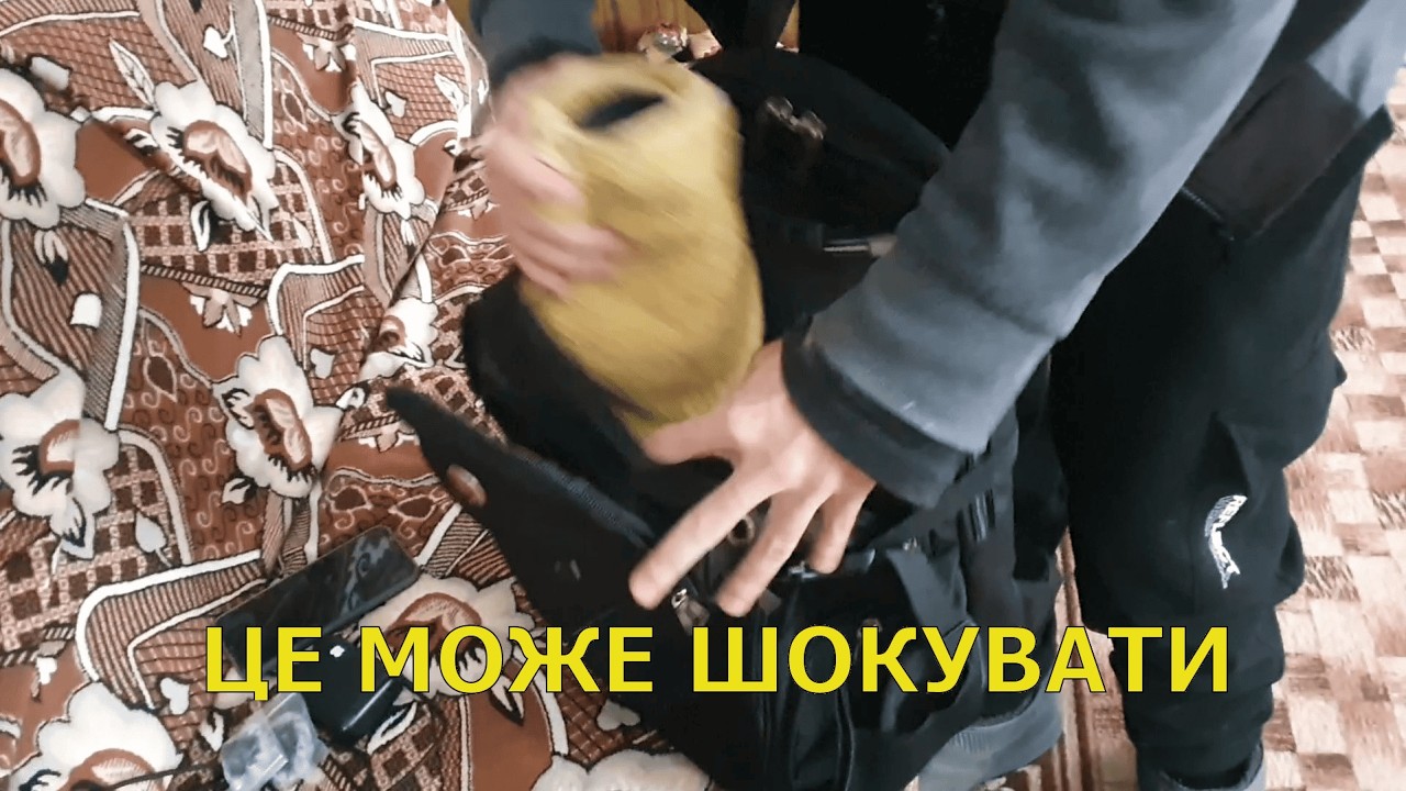 Що в моєму рюкзаку?