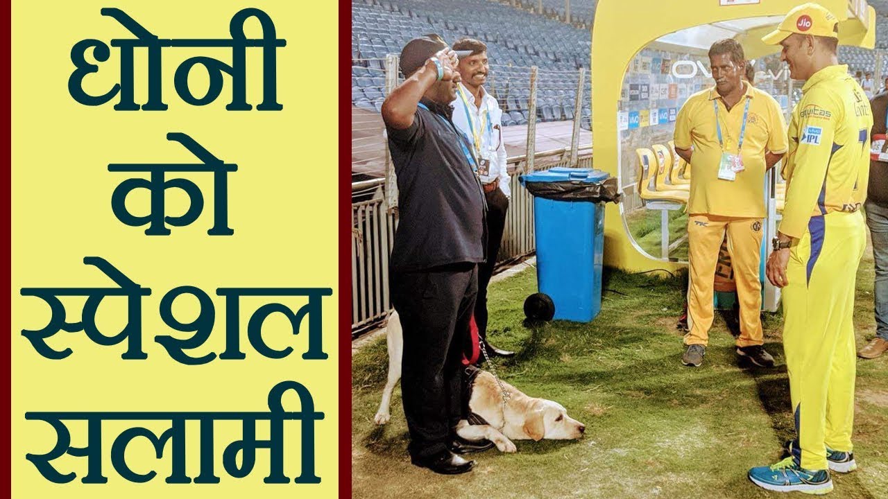 IPL 2018: MS Dhoni gets a ROYAL Salute from a Security Dog । वनइंडिया हिंदी