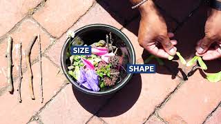iQ Smartparent Teachable Moments: Learning to Sort