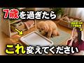 【知らないと危険】犬のお世話は年齢で変えてください