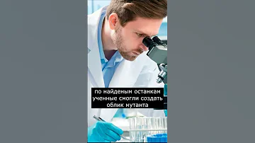 Циклопы существовали