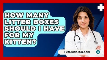 How Many Litter Boxes Should I Have for My Kitten? - PetGuide360.com