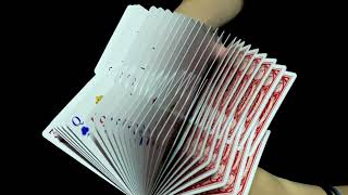 Check out Sanctuary Playing Cards at MJMMagic.com (see link below) #mjmmagic