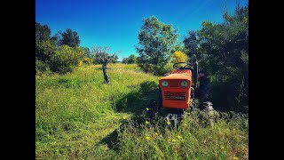 Discover the Allure of Off-Grid Living in Portugal!