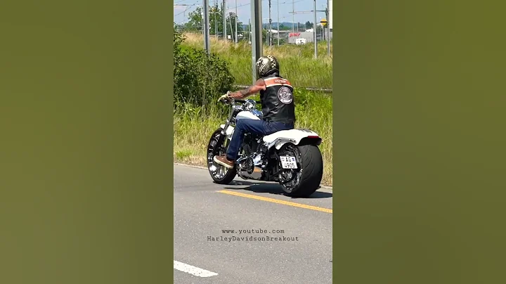 #harleydavidson #harley #harleysound #moto #motorcycle #short #shorts #exhaust