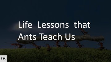 Life  Lessons  that Ants Teach Us | Motivational Video | Success |Life Lesson Animation |