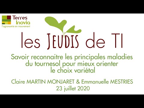 Vidéo: Comment Reconnaître Les Maladies Du Tournesol ? Partie 1