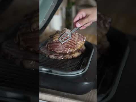 כשהיא לא רעבה בשיתוף שריג היבואן הרשמי 