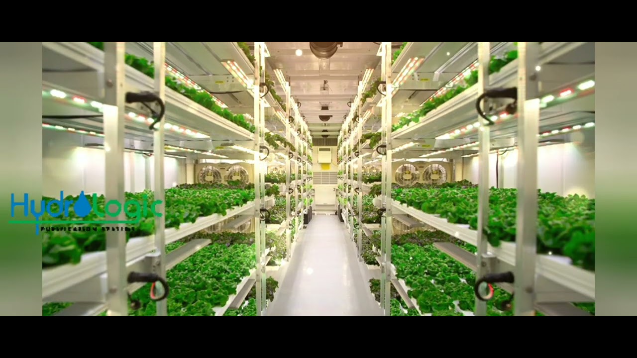 ARTS COLLEGE RAJAHMUNDRY...Science fair HYDROPONICS EXPERIMENT PAHydroponics HydrofarmTVIndo