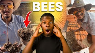 He never gets bitten by bees (King of bees)