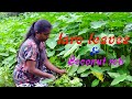 village food💕taro leaves curry recipe 💕 wel ala kola💕 preparing by village kitchen 💕village Mom