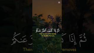 সূরা আন-নাহল |surah an-nahl ayat90 | وما بكم من نعمة فمن الله #islamicvideo #vira l #bayan #trending