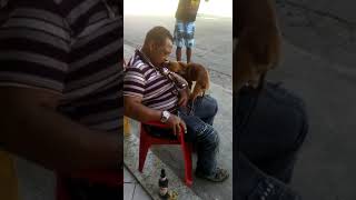 Di Cium Sama Anjing Kesayangan