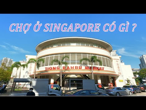Vlog #4 - Khám phá chợ Tiong Bahru và ăn sáng phong cách Singapore #TiongBahrumarket