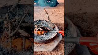 #Shorts Argentinian BBQ. Supported ride at its best! #BBQ #Outback