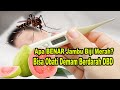 Mengulik Manfaat Jambu Biji Merah Atasi DBD Demam Berdarah #demamberdarahdengue #demamberdarah