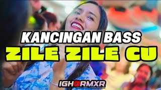 KANCINGAN BASS🔥 ZILE-ZILE CU🍊 IGHO RMXR 2025