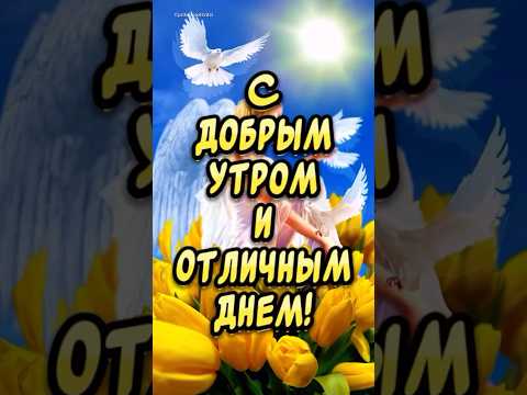 Пусть Ангел Хранит Тебя! Прекрасная Музыкальная Открытка #доброеутро