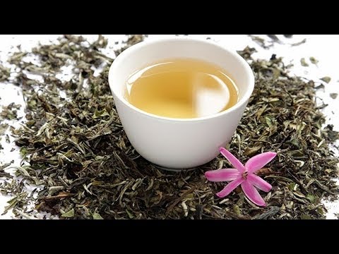 Video: Beyaz çay Neden Faydalıdır?