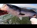 Big keeper striped bass with good old fashion monofilament fishing line talk